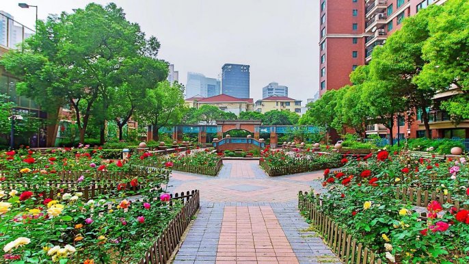 Modern 3brs floor heating modern furniture near Wu kang road 31K